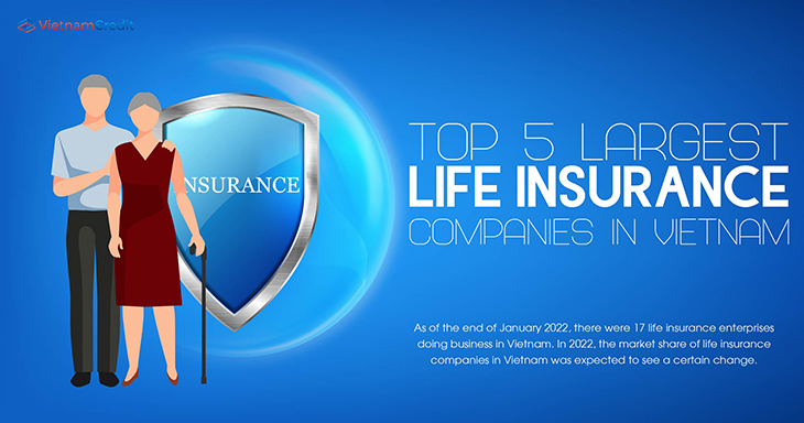 Top 5 largest life insurance companies in Vietnam